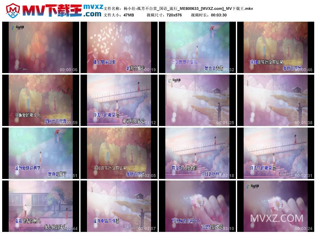 杨小壮-孤芳不自赏_国语_流行_ME800633